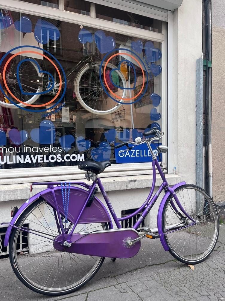 Vélos homme et femme batavus vintage - Vélos